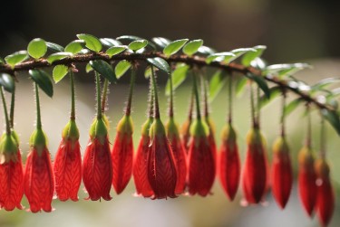 佛山南海区2私人快速借钱网，轻松解决资金难题