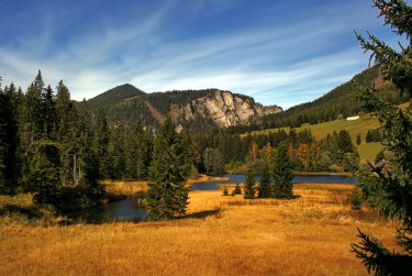 佛山南海区2民间私贷攻略：揭秘低成本借贷的秘密