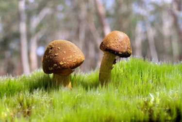 佛山南海区2私人老板放款：轻松融资的秘密通道